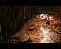 PDVD_2388