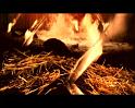 PDVD_2406