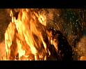 PDVD_2514