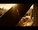 PDVD_2577