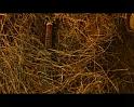 PDVD_2582
