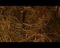 PDVD_2583