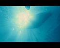 PDVD_2667
