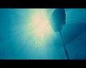 PDVD_2668