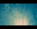 PDVD_2719