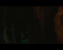 PDVD_2976