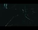 PDVD_2989