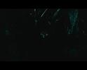 PDVD_3006