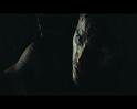 PDVD_3061