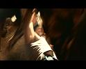 PDVD_354