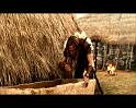 PDVD_369