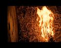 PDVD_597