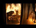 PDVD_714