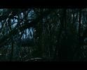 PDVD_966