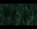 PDVD_983