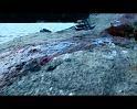 PDVD_997