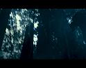 PDVD_1516