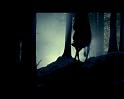 PDVD_1619