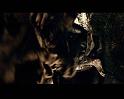 PDVD_1707
