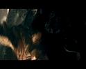 PDVD_1708