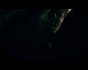 PDVD_1755