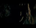 PDVD_1822
