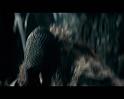 PDVD_2038