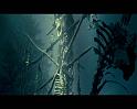 PDVD_2187