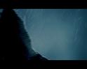 PDVD_2253