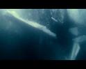 PDVD_2287