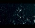PDVD_2298