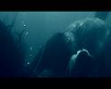 PDVD_2330