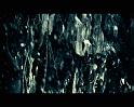 PDVD_2484