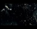PDVD_2621