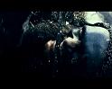 PDVD_2630