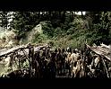 PDVD_2940