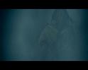 PDVD_828