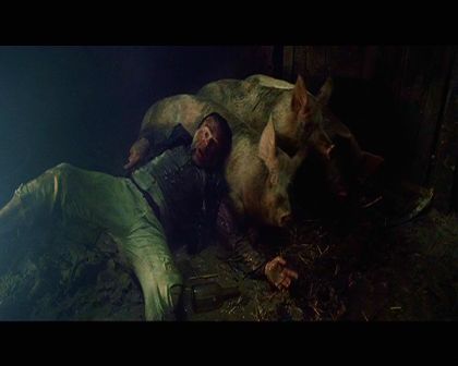 PDVD_1029.jpg