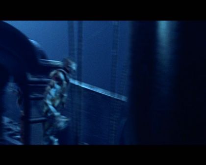 PDVD_1176.jpg