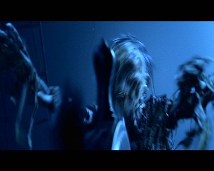 PDVD_1181.jpg