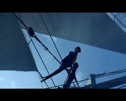 PDVD_1309.jpg