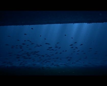 PDVD_2192.jpg
