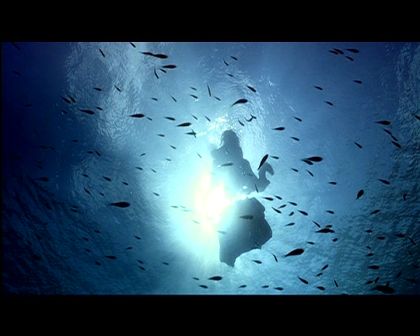 PDVD_297.jpg