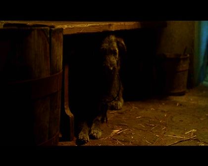 PDVD_721.jpg