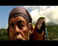 PDVD_1235