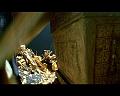 PDVD_1397