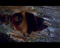PDVD_1647
