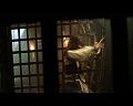 PDVD_1672