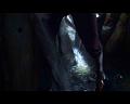 PDVD_1729