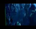 PDVD_2267